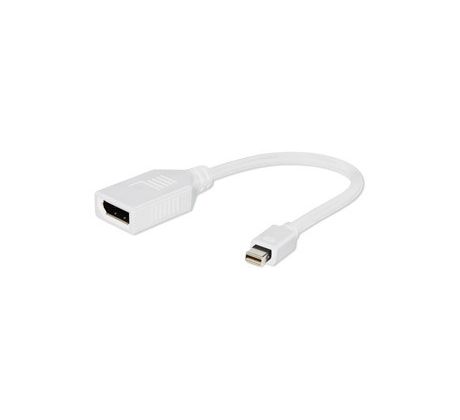 Mini DisplayPort adapter, white (A-mDPM-DPF-001-W)