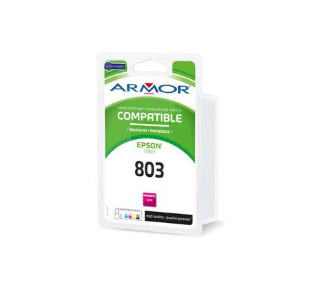 alt. kazeta wecare ARMOR pre EPSON Stylus Photo R265/285, RX585 Ph Ma (T080640) (K20511W4)