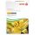 XEROX papier Colotech+ laser A4/150ks 280g (003R97097)