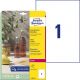 DARČEK - Etikety polyesterové veľmi odolné 210x297mm Avery A4 25 hárkov priehľadné  - Objednaj 1 ks a dostaneš darček 1 ks Raffaello dezert 150 g ( Platí do 30.6.2025)