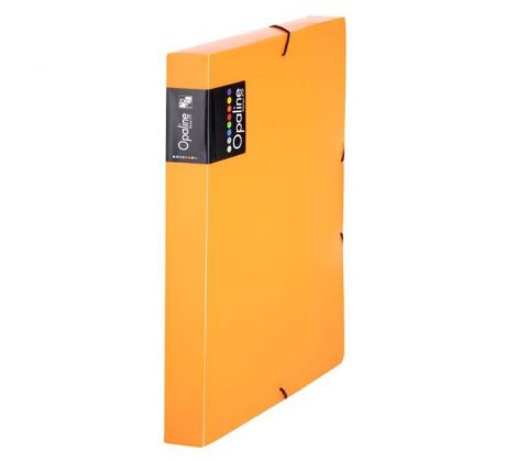 Plastový box s gumičkou Karton PP Opaline, oranžový