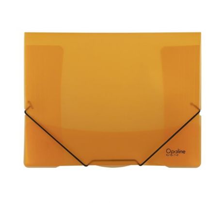 Plastový obal s gumičkou Karton PP Opaline, oranžový