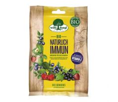 Cukríky bez cukru lesné ovocie 65g