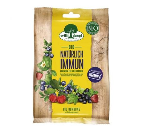 Cukríky bez cukru lesné ovocie 65g