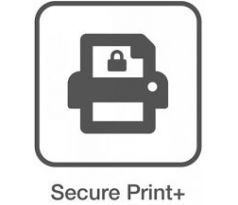 secure print plus licence BROTHER (ZBR8LS36SPP)
