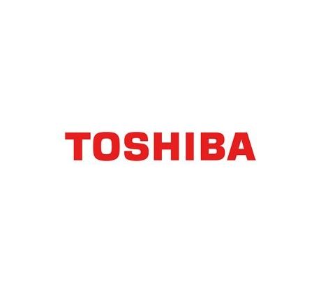 toner T-2450 / e-STUDIO223,243,195,225,245 (5000 str.) (6AJ00000245)