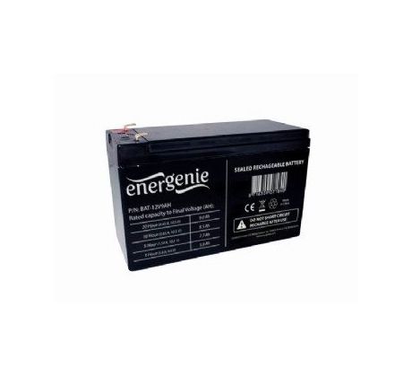 Battery 12V 9 AH (BAT-12V9AH)