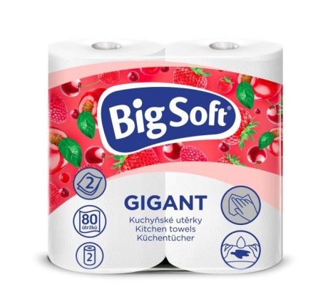 Kuchynské utierky 2-vrstvové Big Soft Gigant 2ks, 16,4m