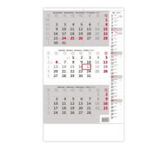 Trojmesačný kalendár sivý s poznámkami 2025