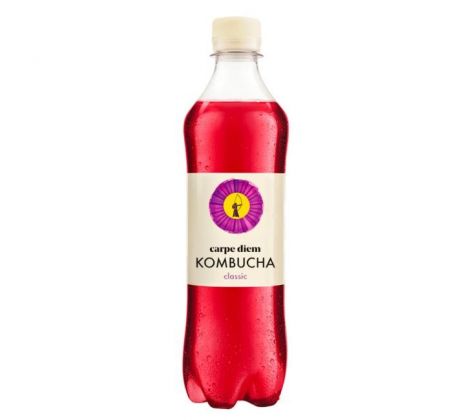 Kombucha original Carpe Diem 12 x 0,5l